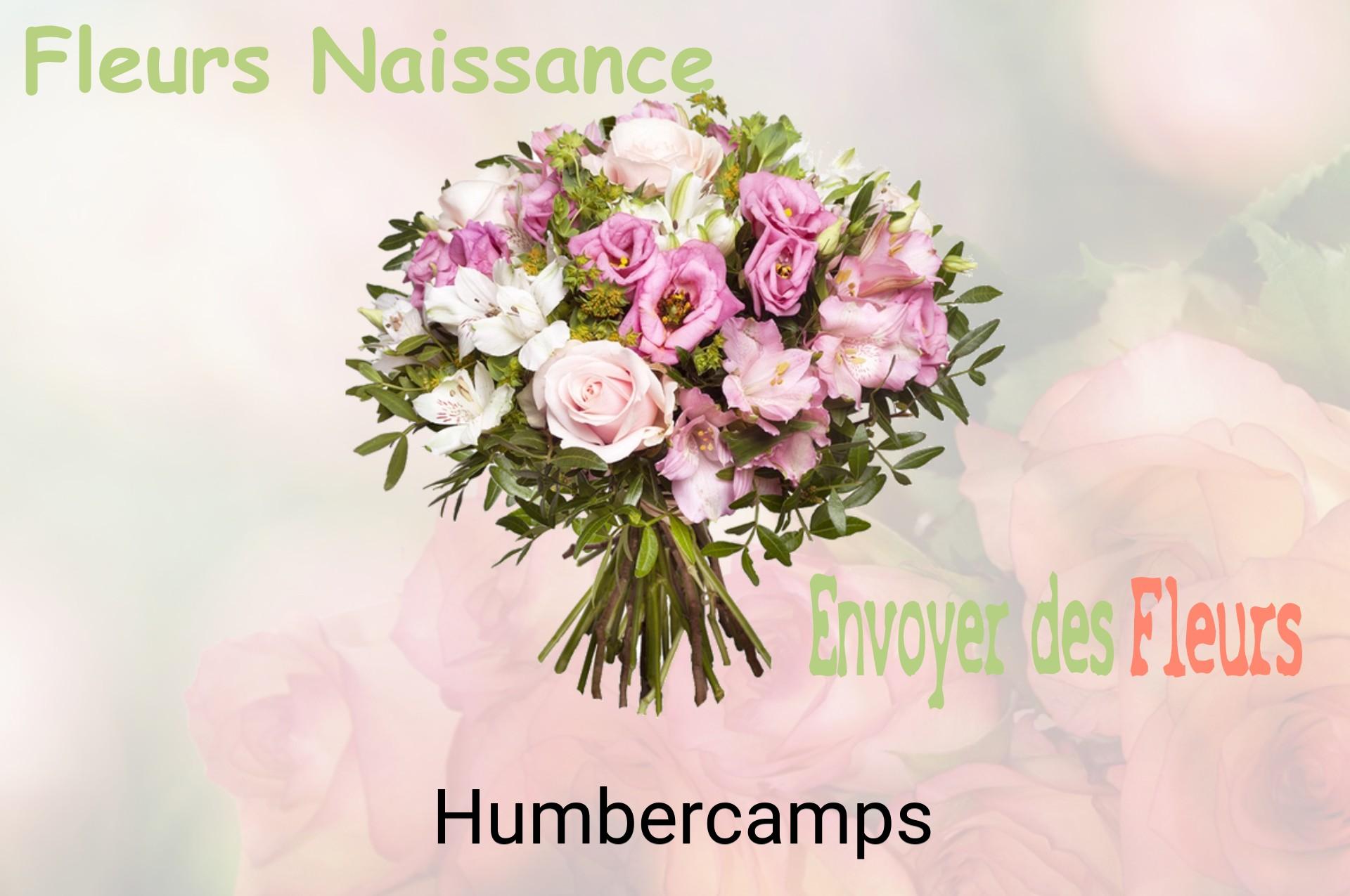 Bouquet de fleurs de naissance livré à Humbercamps